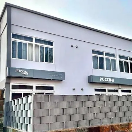 Puccini Oasis - Edgar Las Palmas de Gran Canaria