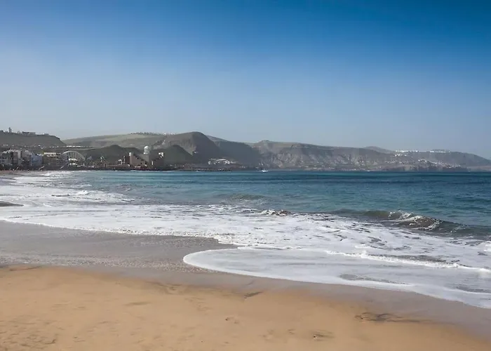 Puccini Oasis - Edgar