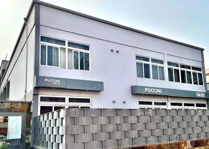 Puccini Oasis - Edgar Las Palmas de Gran Canaria