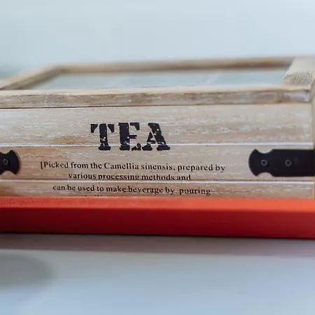 Apartamento Puccini Oasis - Edgar Las Palmas de Gran Canaria